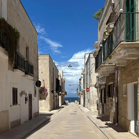 Vista Blu 4*