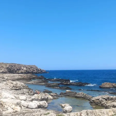 Vista Blu *