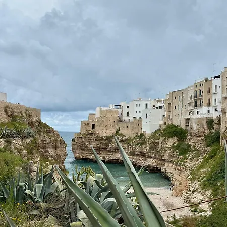 Vista Blu *